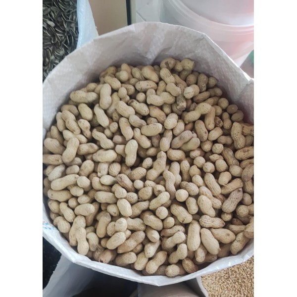 Plain Unsalted Peanuts for Birds & Small Animals – 10kg Bag | Raw, Aflatoxin-Tested, Safe for Parrots, Wild Birds, Squirrels, Hamsters & Rabbits