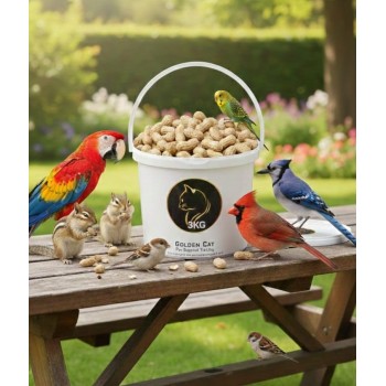 Plain Unsalted Peanuts for Birds & Small Animals – 3 kg Bulk Pack, Raw, Aflatoxin-Tested, Natural Protein & Fat Treat for Parrots, Garden Birds, Squirrels, Hamsters, Rabbits, Guinea Pigs, Finches, Canaries