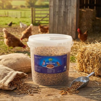 Petco Nature Dried Mealworms, 1.5KG – High-Protein Natural Treat for Birds, Chickens, Fish, Reptiles & Small Pets