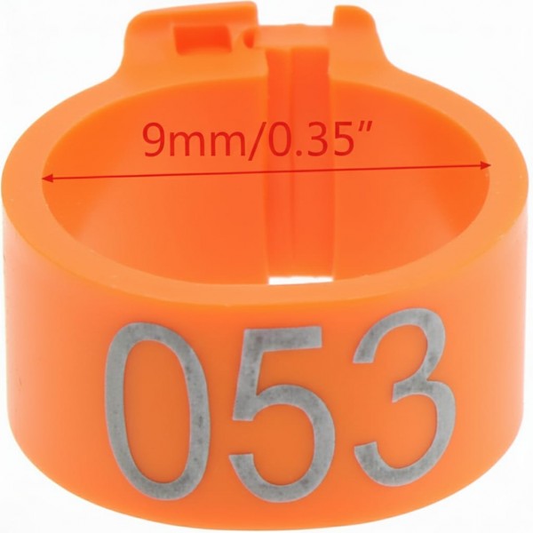 100 Pcs Orange Chicken & Bird Leg Rings – 9mm Plastic Identification Bands for Poultry, Pigeons, Parrots, Conure, Macaw, African Grey – Numbered Clip-On Foot Bands for Small & Large Birds
