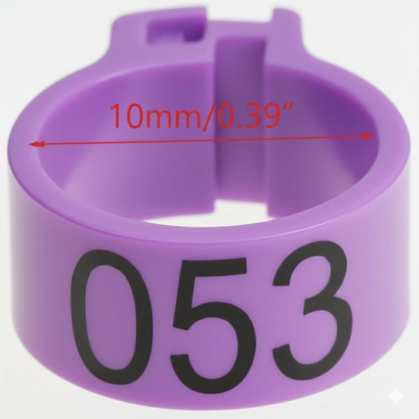100 Pcs Purple Chicken & Bird Leg Rings – 10mm (1cm) Plastic Identification Bands for Poultry, Pigeons, Parrots, Conure, Macaw, African Grey – Numbered Clip-On Foot Bands for Medium & Large Birds 100 Pcs Purple Chicken & Bird Leg Rings – 10mm (1cm) Plastic Identification Bands for Poultry, Pigeons, Parrots, Conure, Macaw, African Grey – Numbered Clip-On Foot Bands for Medium & Large Birds