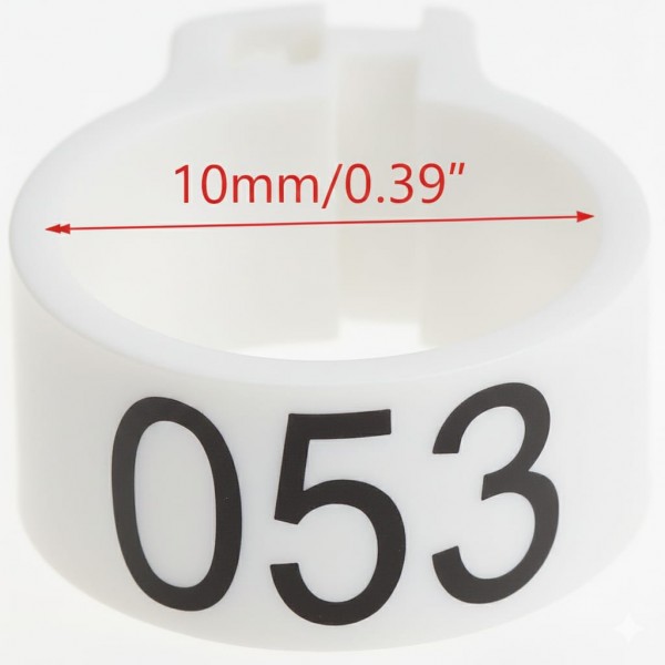 100 Pcs White Chicken & Bird Leg Rings – 10mm (1cm) Plastic Identification Bands for Poultry, Pigeons, Parrots, Conure, Macaw, African Grey – Numbered Clip-On Foot Bands for Medium & Large Birds 100 Pcs White Chicken & Bird Leg Rings – 10mm (1cm) Plastic Identification Bands for Poultry, Pigeons, Parrots, Conure, Macaw, African Grey – Numbered Clip-On Foot Bands for Medium & Large Birds