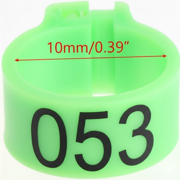 100 Pcs Green Chicken & Bird Leg Rings – 10mm (1cm) Plastic Identification Bands for Poultry, Pigeons, Parrots, Conure, Macaw, African Grey – Numbered Clip-On Foot Bands for Medium & Large Birds 100 Pcs Green Chicken & Bird Leg Rings – 10mm (1cm) Plastic Identification Bands for Poultry, Pigeons, Parrots, Conure, Macaw, African Grey – Numbered Clip-On Foot Bands for Medium & Large Birds