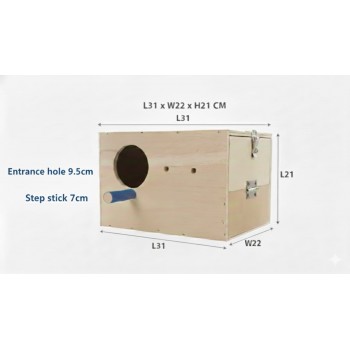 PetNest Large Size Wooden Bird Breeding Box – Natural Wood Nesting House for Parakeets, Budgies, Cockatiels & Lovebirds with Hinged Lid, Front Access Door & Perch (31 × 22 × 21 cm)