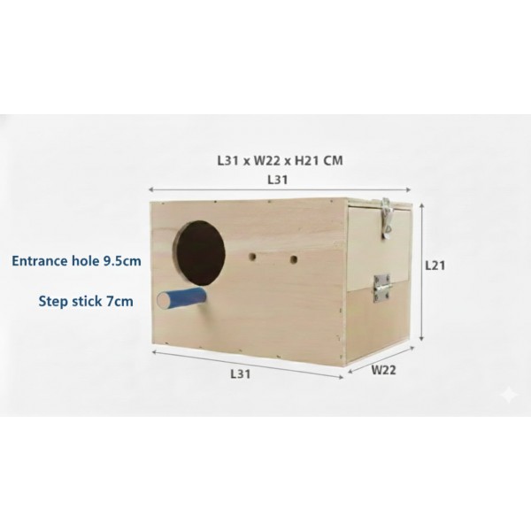 PetNest Large Size Wooden Bird Breeding Box – Natural Wood Nesting House for Parakeets, Budgies, Cockatiels & Lovebirds with Hinged Lid, Front Access Door & Perch (31 × 22 × 21 cm) PetNest Large Size Wooden Bird Breeding Box – Natural Wood Nesting House for Parakeets, Budgies, Cockatiels & Lovebirds with Hinged Lid, Front Access Door & Perch (31 × 22 × 21 cm)
