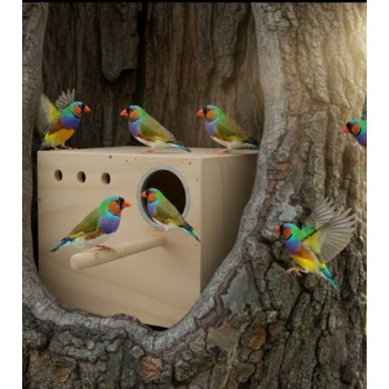 Modern Cockatiel Wooden Nest Box with Detachable Plastic Drawer – Natural Wood Bird Breeding & Nesting House with Dual Opening Doors, Metal Entrance & Perch – Easy Clean Design – Size 26 × 21 × 19 cm