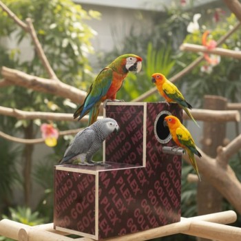 Golden Prestige Medium L-Shaped Wooden Bird Nesting & Breeding Box (45 × 23 × 45 cm)