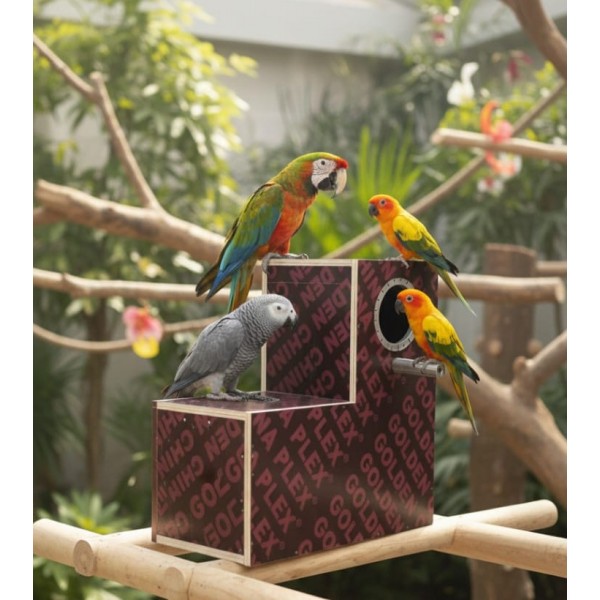 Golden Prestige Medium L-Shaped Wooden Bird Nesting & Breeding Box (45 × 23 × 45 cm)