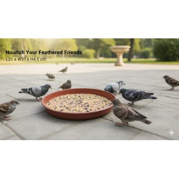 Pigeons Flat Type Plastic Bowl (Small) – Multi-Purpose Feeding Dish for Pigeons, Birds, Cats, Rabbits & Small Pets – Wide Shallow Design – 31 × 31 × 4.5 cm