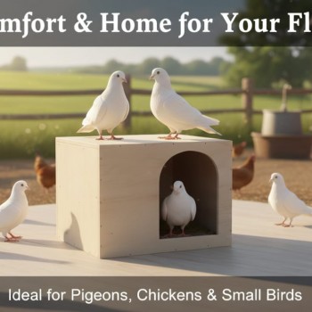 Modern Wooden Nesting Box & Pet House (Medium) – Pigeon Breeding Box / Cat & Small Pet Cave – 45.5 × 24 × 32 cm