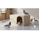 Modern Wooden Nesting Box & Pet House ( Large ), Pigeon Breeding Box, Cat & Small Dog Indoor Cave, Multifunctional Wooden Cat House with Side Table Top, Arched Entrance, 60.5×31×31 cm