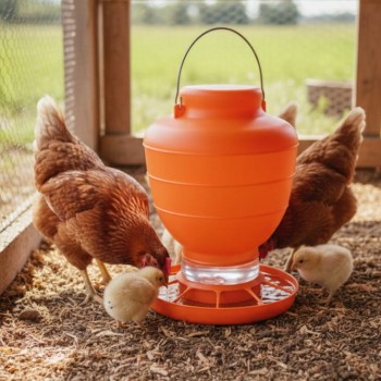 PoultryPro 18-Liter ECO FEED Plastic Poultry Feeder – Large Capacity Gravity-Fed Chicken Feeder, Durable & Easy-Clean Design PoultryPro 18-Liter ECO FEED Plastic Poultry Feeder – Large Capacity Gravity-Fed Chicken Feeder, Durable & Easy-Clean Design