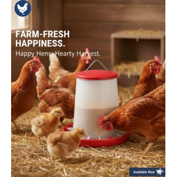 5 kg Plastic Poultry Feeder with Feed Saver Ring, Lid & Handle – Red & White Gravity-Fed Chicken Feeder for Chicks, Growers, and Adult Poultry