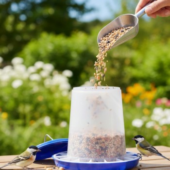 8 kg Plastic Poultry Feeder with Feed Saver Ring, Lid & Handle – Blue & White Gravity-Fed Chicken Feeder for Chicks, Growers, and Adult Poultry