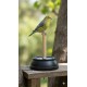 Multi-Purpose Heavy Plastic Bird Bath Bowl | Wide Shallow Water Dish for Garden Birds | Screw-Fix Base for Stand or Ground Use | Durable Food & Water Bowl for Birds, Cats, Dogs & Small Pets