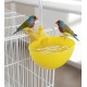 Automatic Bird Water Dispenser & Poultry Drinking Bowl (Yellow) | Auto-Fill Float Valve Water Cup for Cages & Coops | Durable Plastic Bath for Finches, Parakeets, Chickens, Quail & Ducks