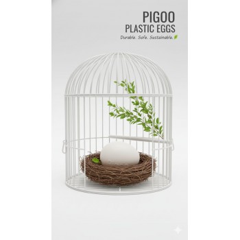 PIGOO Plastic Dummy Egg – Durable, Safe & Reusable Nest Egg for Hens | Encourages Laying & Satisfies Broody Hens | Easy-to-Clean One-Piece Design (2.5cm x 3.5cm)