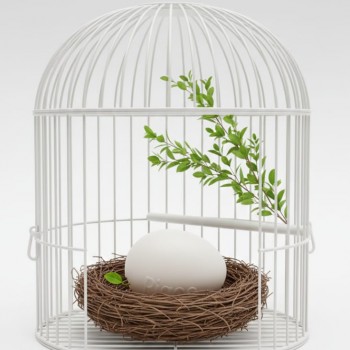 PIGOO Plastic Dummy Egg – Durable, Safe & Reusable Nest Egg for Hens | Encourages Laying & Satisfies Broody Hens | Easy-to-Clean One-Piece Design (2.5cm x 3.5cm)