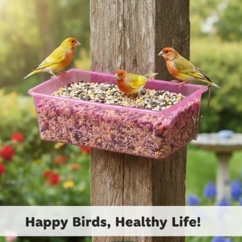 Plastic Bird Feeder, Drinker & Bath Box – Medium Size (17 × 11 × 5 cm), Clip-On Cage Accessory for Small Birds (Pink)