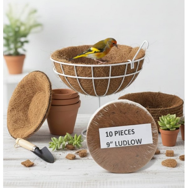 Set of 10 Natural Coconut Coir Bird Nest Liners – 23 cm × 23 cm × 0.5 cm Each – Eco-Friendly, Durable, Pre-Formed Coco Fiber for Hanging Baskets & Bird Nests – Suitable for Canaries, Finches & Exotic Birds