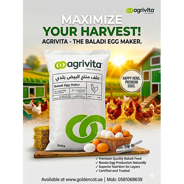 ABU DHABI Agrivita Baladi Egg Maker Layer Feed 50 KG – 15% Protein Poultry Feed for Laying Hens, Chickens, Ducks, Geese, Turkeys & Quails | Egg Production Chicken Feed | Balanced Vitamins, Minerals & Amino Acids | Non-GMO Farm Poultry Feed UAE