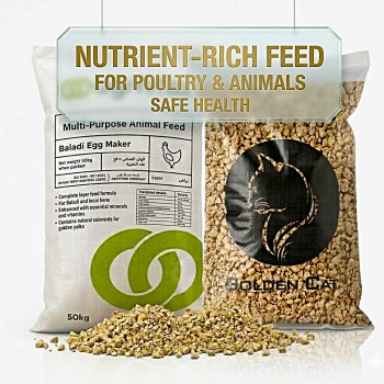 ABU DHABI Agrivita Baladi Egg Maker Layer Feed 10KG – 15% Protein Poultry Feed for Laying Hens Chickens Ducks Quails | High Egg Production Non-GMO Feed UAE