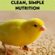 canary seeds 3 kg – 100% natural non gmo bird seed for canaries, finches, budgerigars, parakeets, cockatiels, lovebirds, doves, pigeons, and wild birds | outdoor feeders, no additives, premium bulk bird food for healthy feathers, energy, and vitality