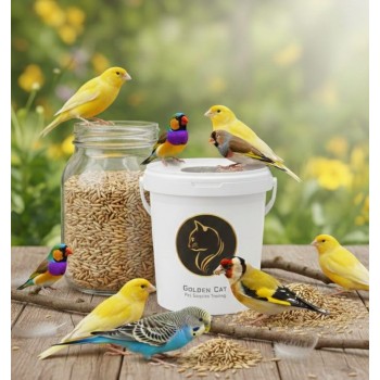 canary seeds 3 kg – 100% natural non gmo bird seed for canaries, finches, budgerigars, parakeets, cockatiels, lovebirds, doves, pigeons, and wild birds | outdoor feeders, no additives, premium bulk bird food for healthy feathers, energy, and vitality