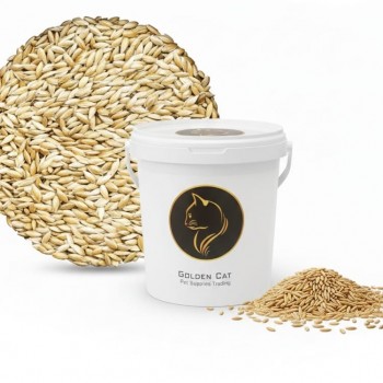 canary seeds 3 kg – 100% natural non gmo bird seed for canaries, finches, budgerigars, parakeets, cockatiels, lovebirds, doves, pigeons, and wild birds | outdoor feeders, no additives, premium bulk bird food for healthy feathers, energy, and vitality