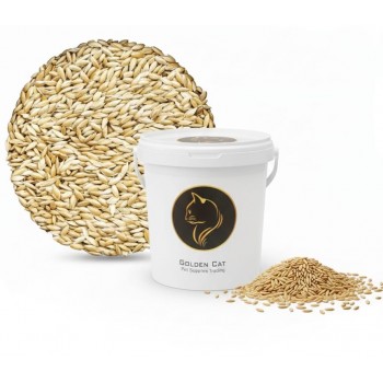 canary seeds 3 kg – 100% natural non gmo bird seed for canaries, finches, budgerigars, parakeets, cockatiels, lovebirds, doves, pigeons, and wild birds | outdoor feeders, no additives, premium bulk bird food for healthy feathers, energy, and vitality