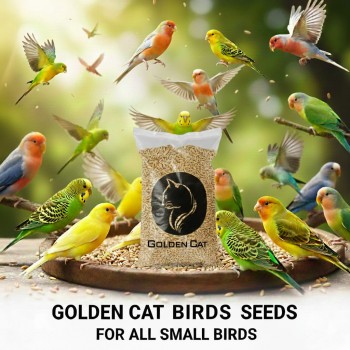 Canary Seeds 10 kg Bulk Bag – 100% Natural Non-GMO Bird Seed for Canaries, Finches, Budgerigars, Parakeets, Cockatiels, Lovebirds, Doves, Pigeons & Wild Birds | No Additives, Premium Outdoor & Indoor Bird Feed