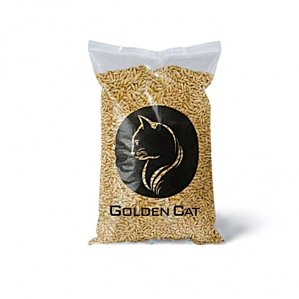 Canary Seeds 10 kg Bulk Bag – 100% Natural Non-GMO Bird Seed for Canaries, Finches, Budgerigars, Parakeets, Cockatiels, Lovebirds, Doves, Pigeons & Wild Birds | No Additives, Premium Outdoor & Indoor Bird Feed