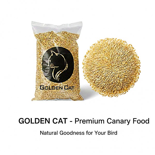 Canary Seeds 10 kg Bulk Bag – 100% Natural Non-GMO Bird Seed for Canaries, Finches, Budgerigars, Parakeets, Cockatiels, Lovebirds, Doves, Pigeons & Wild Birds | No Additives, Premium Outdoor & Indoor Bird Feed