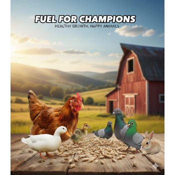 Abu Dhabi Agrivita Multi-Species Animal & Bird Food Pellets 20kg | 16% Protein Complete Feed for Livestock & Poultry | Supports Growth & Immunity