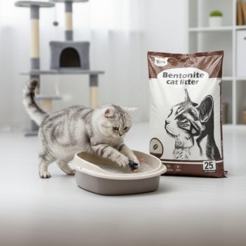 Cat Partner Bentonite Cat Litter – Dust Free Clumping Litter with Coffee Scent, 25L (20kg), Natural Sodium Bentonite, Strong Odor Control for All Cat Breeds