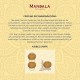 Mandala Premium Selection Adult Dog Food – Meat & Rice (Carne & Arroz) – Dry Food for Medium & Large Breeds, 14 kg – Supports Muscle, Skin & Coat, Digestive Health, and Reduces Stool Odor