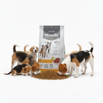 Monello Special Premium Adult Dog Go Dry Food – Beef Flavor, 15kg | Complete Nutrition for Adult Dogs of All Breeds, High Digestibility, Healthy Skin & Coat