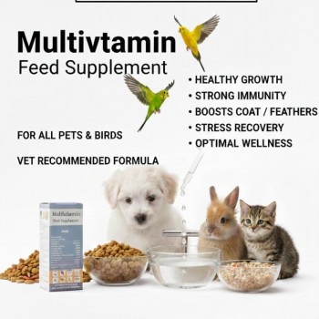 Multivitamin Feed Supplement for Birds & Pets, Liquid Vitamin Drops, Supports Growth, Stress Relief & Immunity, 20 ml