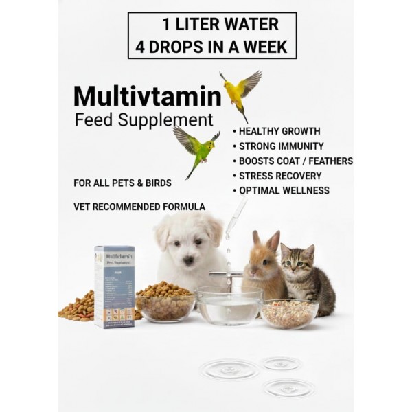 Multivitamin Feed Supplement for Birds & Pets, Liquid Vitamin Drops, Supports Growth, Stress Relief & Immunity, 20 ml Multivitamin Feed Supplement for Birds & Pets, Liquid Vitamin Drops, Supports Growth, Stress Relief & Immunity, 20 ml