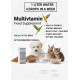 Multivitamin Feed Supplement for Birds & Pets, Liquid Vitamin Drops, Supports Growth, Stress Relief & Immunity, 20 ml Multivitamin Feed Supplement for Birds & Pets, Liquid Vitamin Drops, Supports Growth, Stress Relief & Immunity, 20 ml