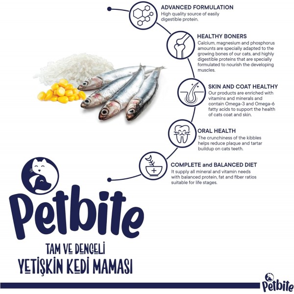 Petbite Adult Dry Cat Food (1+ Years) – Real Fish | 85% Animal Protein Origin | Urinary Tract Health Support | Omega 3 & 6 for Skin & Coat | 100% Complete Nutrition | 1kg Bag