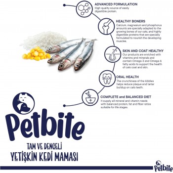 Petbite pH Kitten Food (1–12 Months) – Real Fish Recipe | pH Balanced for Urinary Health | High Protein, Complete & Balanced Nutrition | 1kg Bag