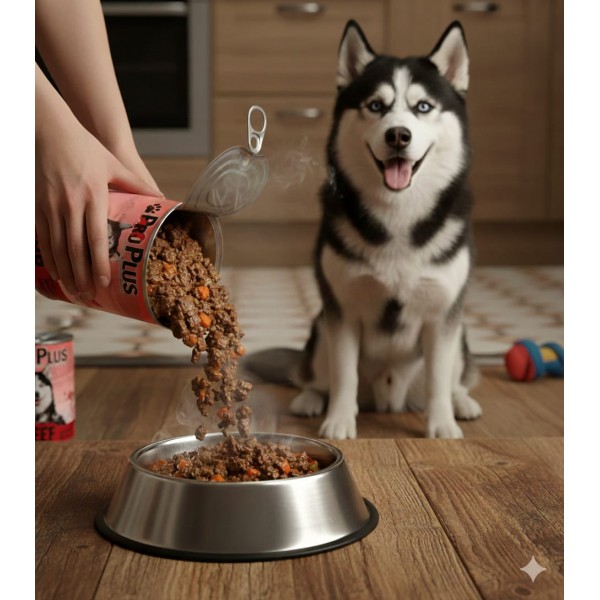 ProPlus Premium Wet Dog Food – Beef Chunks in Gravy, 400g Can × 12 | High-Quality, Protein-Rich Nutrition for Adult Dogs