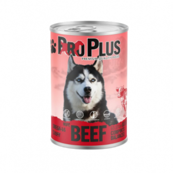 ProPlus Premium Wet Dog Food – Beef Chunks in Gravy, 400g Can × 12 | High-Quality, Protein-Rich Nutrition for Adult Dogs
