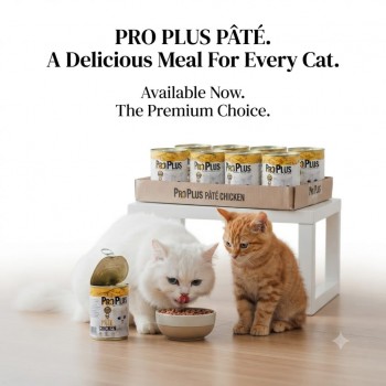 Pro Plus Premium Adult Cat Wet Food with Chicken, Grain-Free Pate, Complete & Balanced Nutrition, 400g × 12 Cans