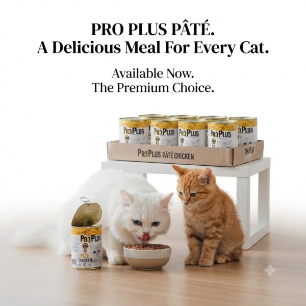 Pro Plus Premium Adult Cat Wet Food with Chicken, Grain-Free Pate, Complete & Balanced Nutrition, 400g × 12 Cans