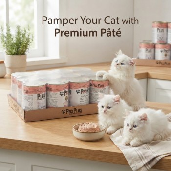 Pro Plus Salmon Pate Wet Cat Food 400g x 12 Pack Cans Grain Free Adult Cat Food with Fish Protein Taurine Vitamins Minerals Complete Nutrition