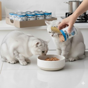 ProPlus Premium Adult Cat Food – Tuna Pâté, Grain-Free, Protein-Rich Wet Food for Adult Cats, 400g Can × 12 Cans