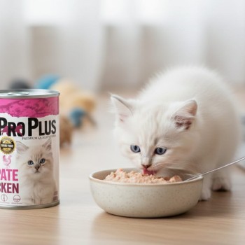 Pro Plus Premium Grain-Free Chicken Pâté Wet Cat Food for Kittens – 12 Cans × 400g  PRO PLUS – PREMIUM QUALITY FOOD