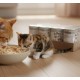 Pro Plus Kitten Premium Grain-Free Chicken Paté Wet Cat Food – 12 Cans × 400g